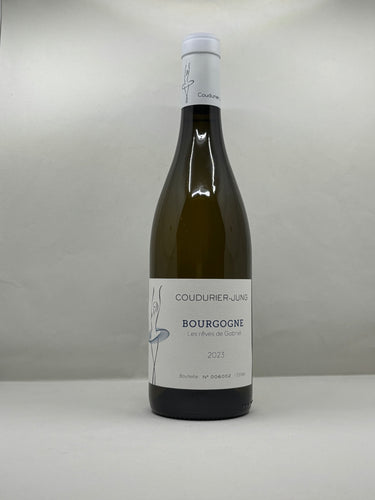 Bourgogne Les rêves de Gabriel 2023 chardonnay