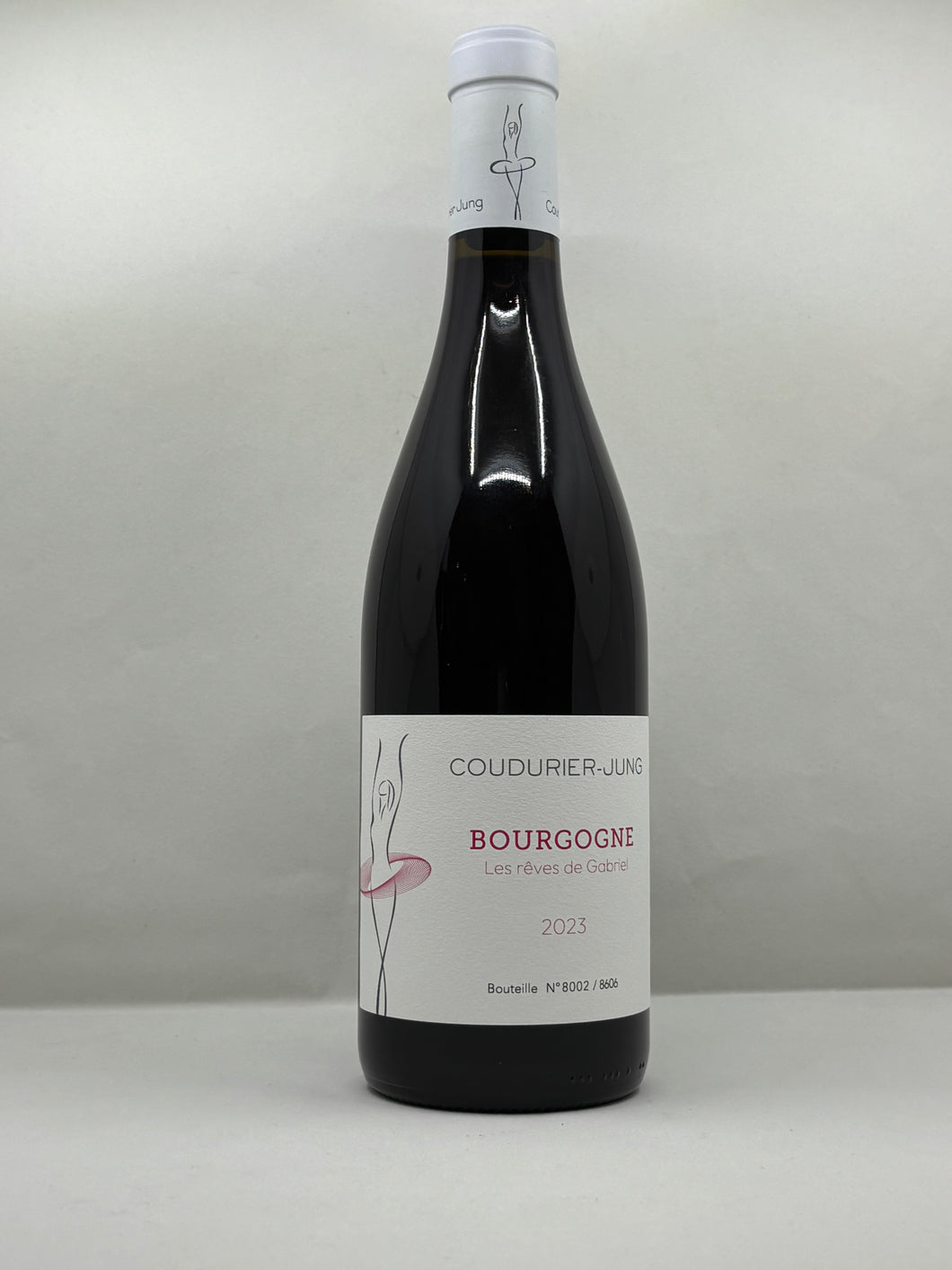 Bourgogne Les rêves de Gabriel 2023 pinot noir